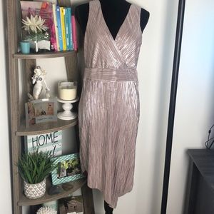 Venus Silvery Nude Metallic Dress